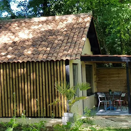 L'atelier Pp En Perigord Noir Piscine Saint-Alvère