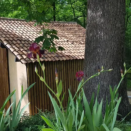 L'atelier Pp En Perigord Noir Piscine