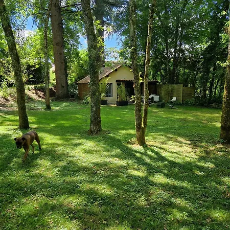 L'atelier Pp En Perigord Noir Piscine 度假居